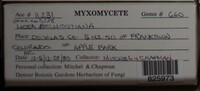 Image Associated With the Occurence